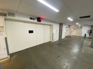 西１１丁目駅 徒歩6分 8階の物件外観写真